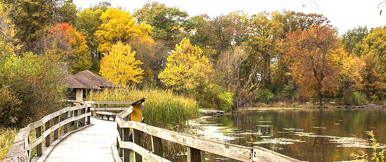 iNaturalist Project Herrick Lake Forest Preserve, IL iNaturalist Project Herrick Lake Forest Preserve, IL