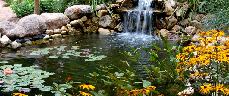 iNaturalist Project Willowbrook Wildlife Center, IL